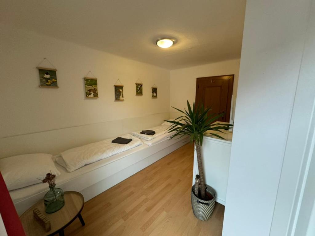 Go For Mountains Appartements 이븐임포구아 외부 사진